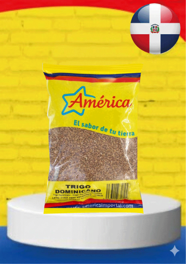 WhatsApp-Image-2026-04-08-at-12.02